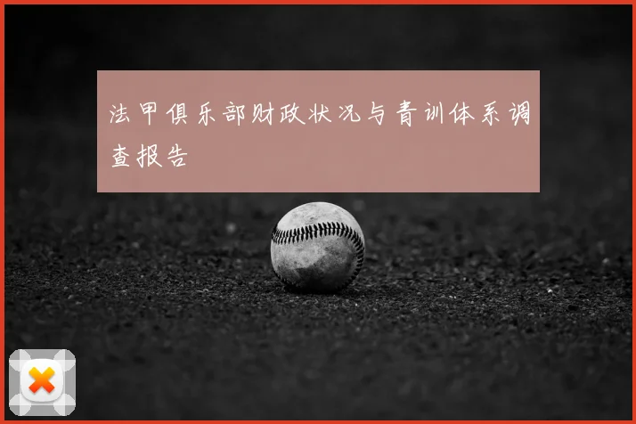 法甲俱乐部财政状况与青训体系调查报告