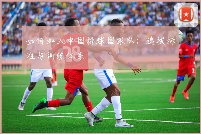如何加入中国排球国家队：选拔标准与训练体系